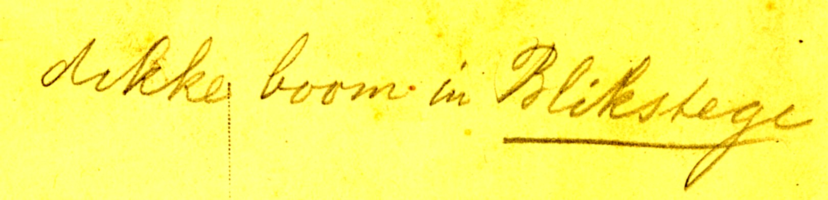 2148b.jpg