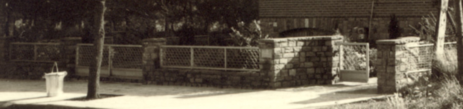 2156b.jpg