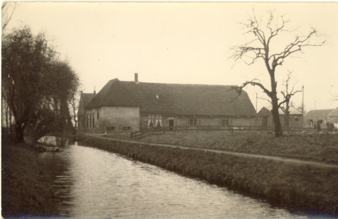 2171.jpg