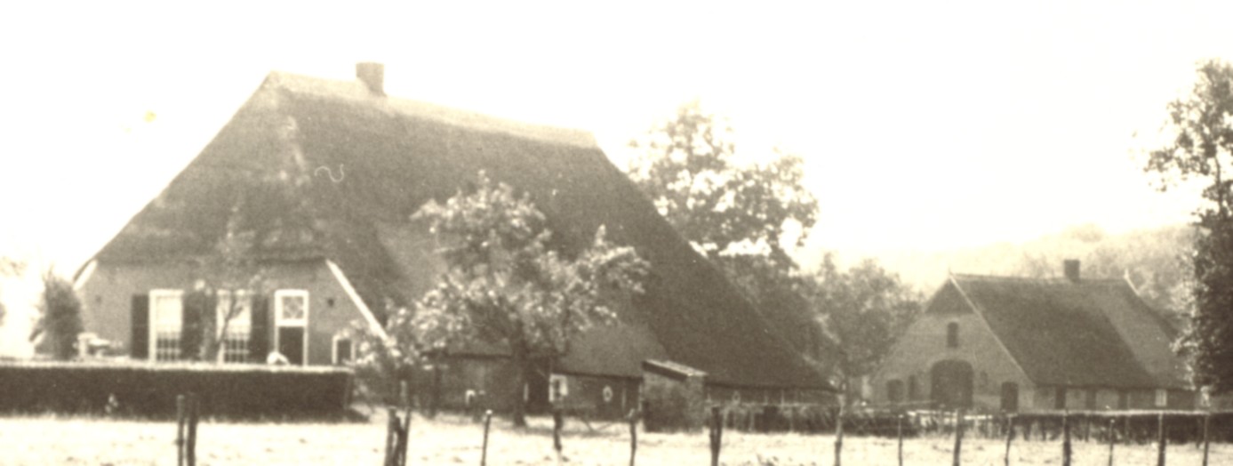 2205a.jpg