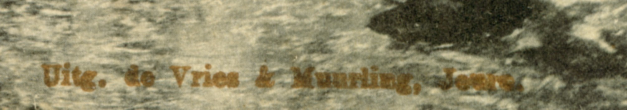 2211b.jpg