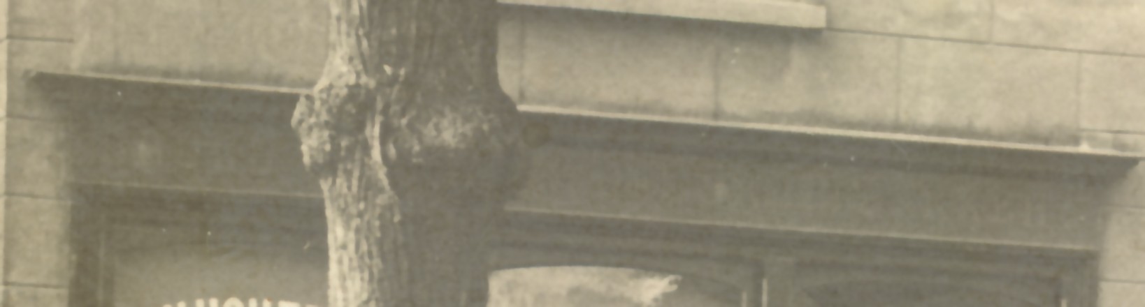 2174c.jpg