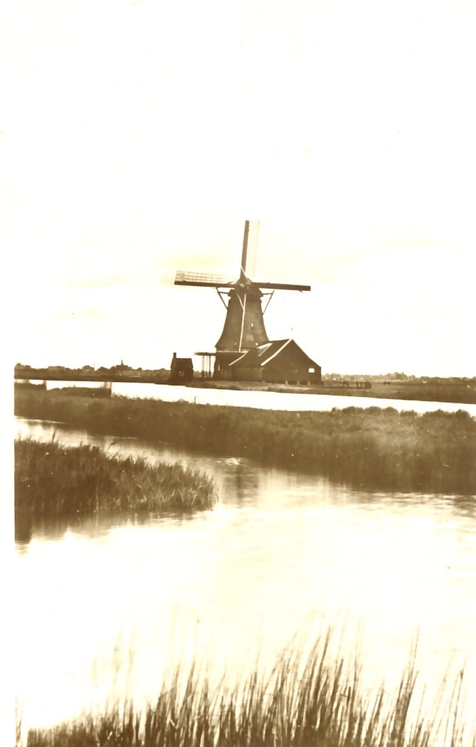 2247.jpg