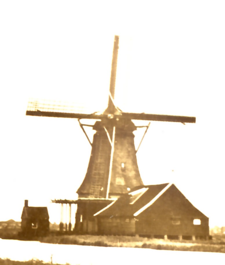 2247a.jpg