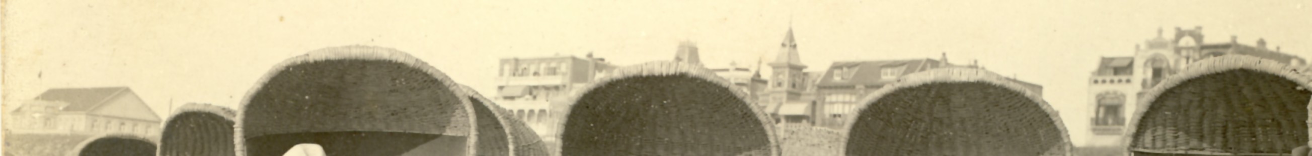 2257a.jpg
