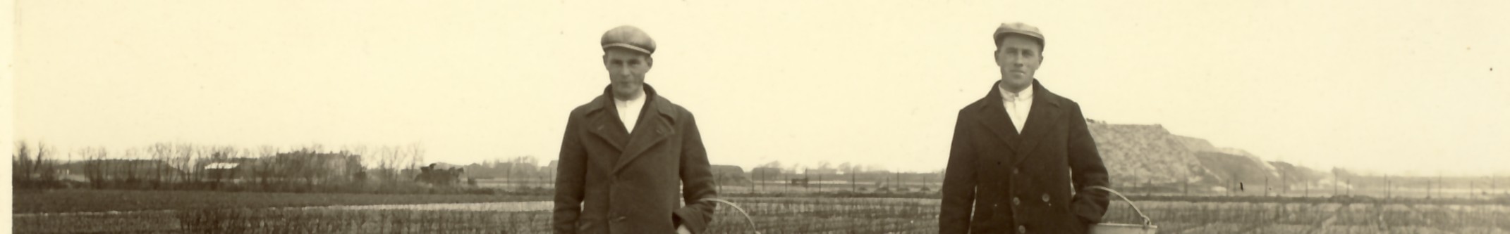 2374a.jpg