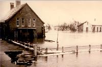 Puttershoek2.jpg