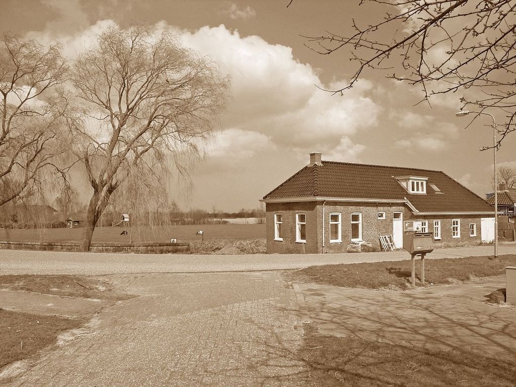 R0010386 b.jpg