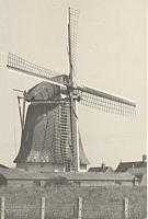 2875.jpg