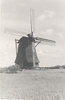 2876.jpg