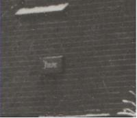 2884a.jpg