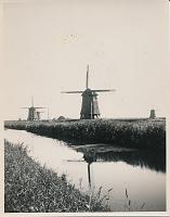 3098.jpg