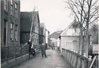 3171.jpg