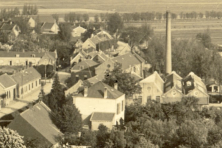 0459a.jpg