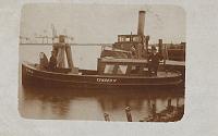 3848g004.jpg