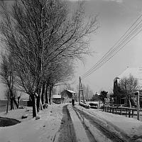 onbekend 26345 winter 1955.jpg