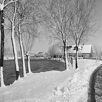 onbekend 26358 winter 1955.jpg