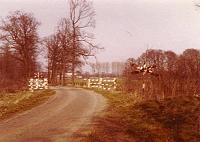 Schurinkweg met overgang.jpg